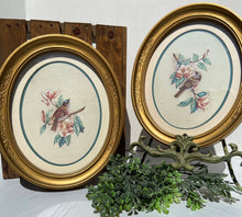 Load image into Gallery viewer, Vintage HOMCO Oval Framed Birds
