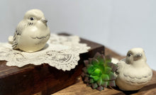 Load image into Gallery viewer, Cream Birds
