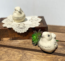 Load image into Gallery viewer, Cream Birds
